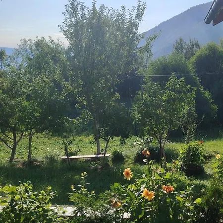 Tara Rajak Holiday home Zaovine