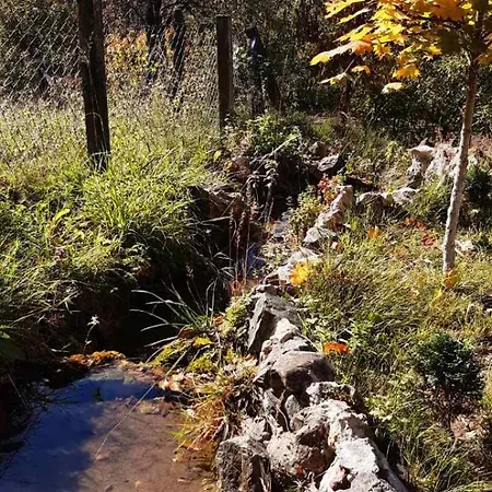 Tara Rajak * Zaovine