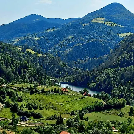 Tara Rajak