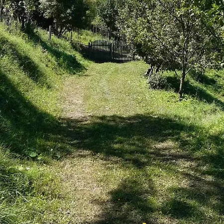 Tara Rajak * Zaovine