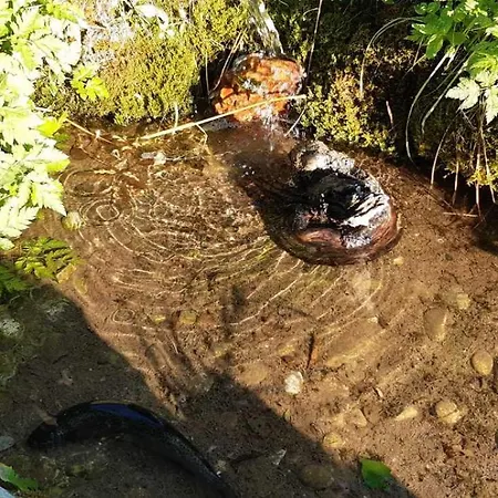 Casa vacanze Tara Rajak *