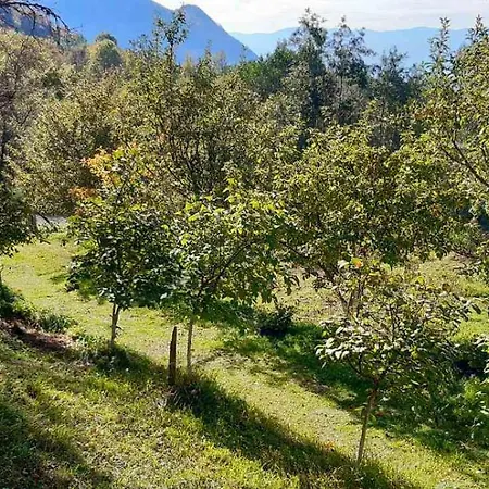 Casa vacanze Tara Rajak Zaovine