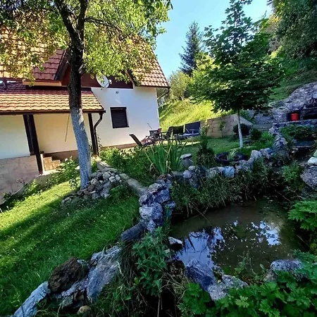Holiday home Tara Rajak Zaovine